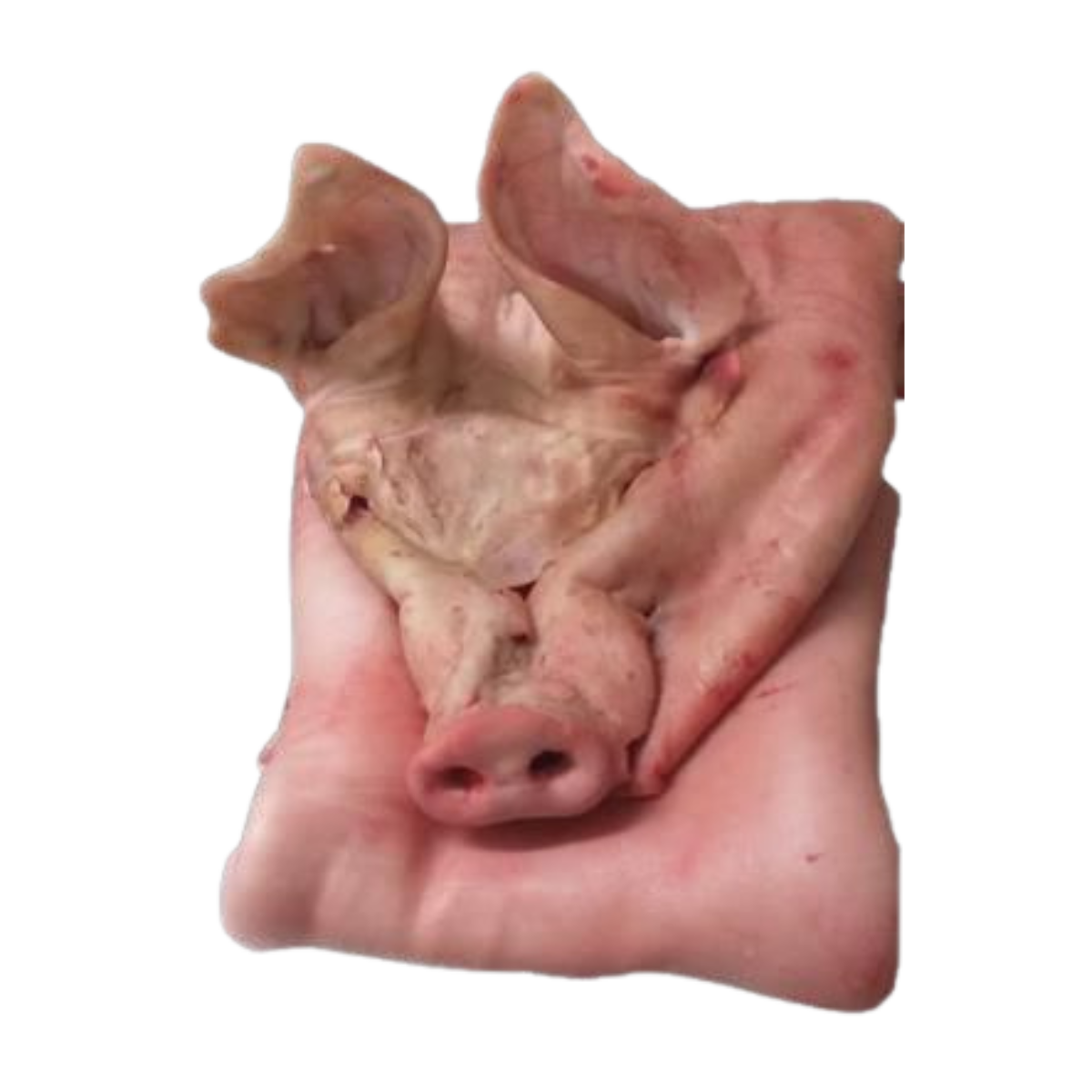 PIJAMA CERDO CON CABEZA - Imagen 5