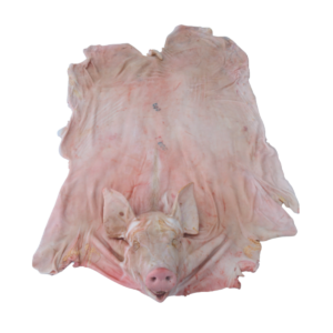 PIJAMA CERDO CON CABEZA