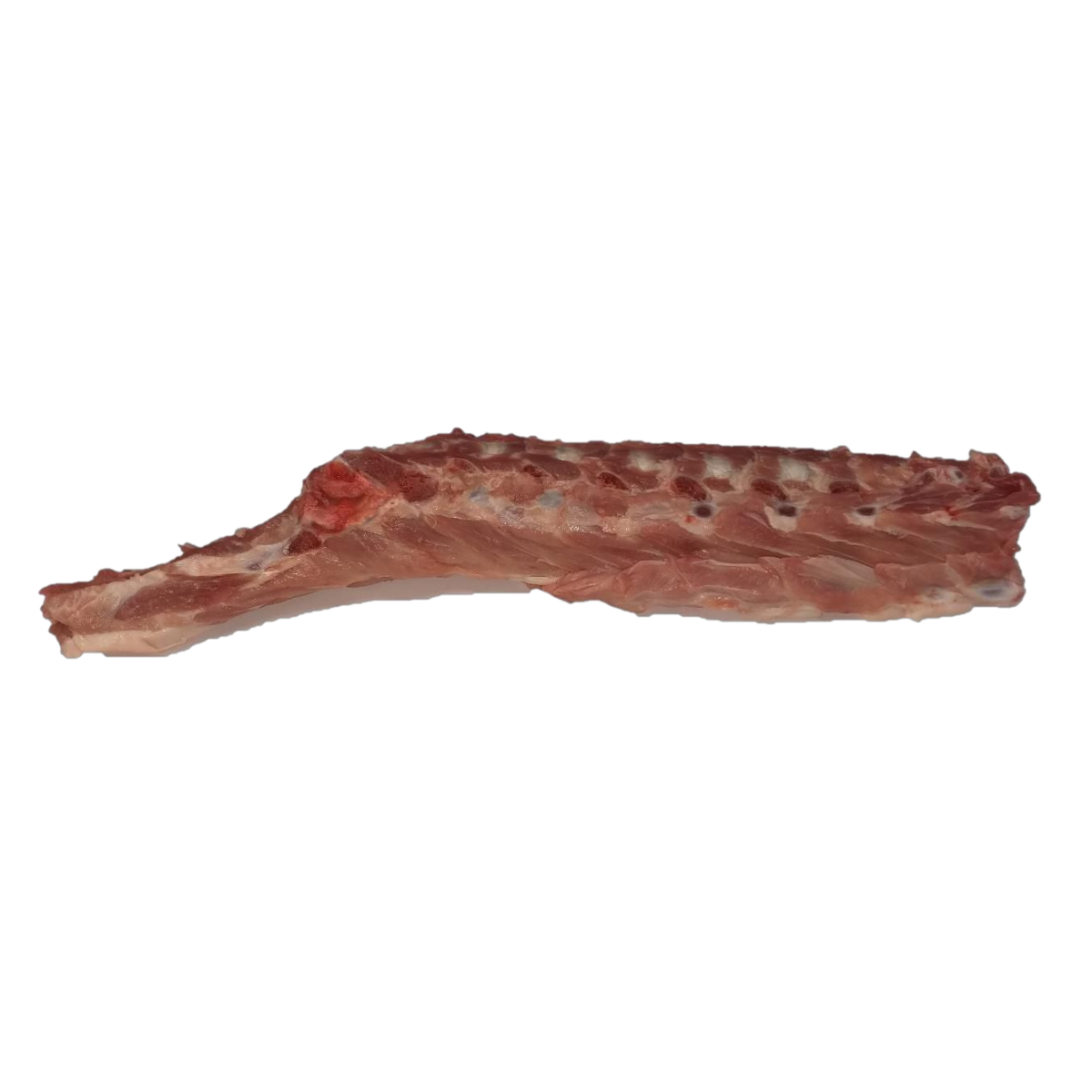 ESPINAZO DE CERDO