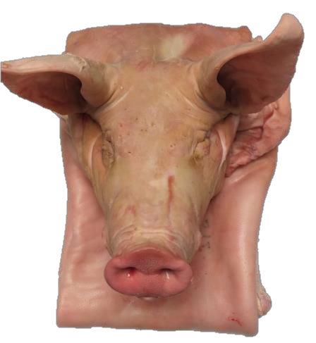 PIJAMA CERDO CON CABEZA - Imagen 7
